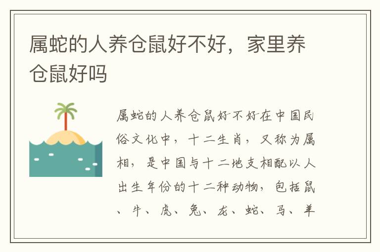 属蛇的人养仓鼠好不好，家里养仓鼠好吗