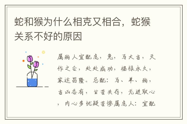 蛇和猴为什么相克又相合，蛇猴关系不好的原因