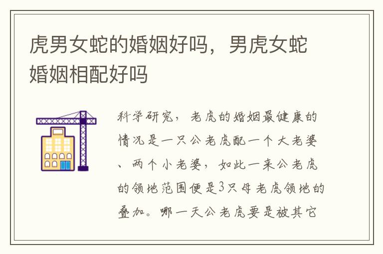 虎男女蛇的婚姻好吗，男虎女蛇婚姻相配好吗