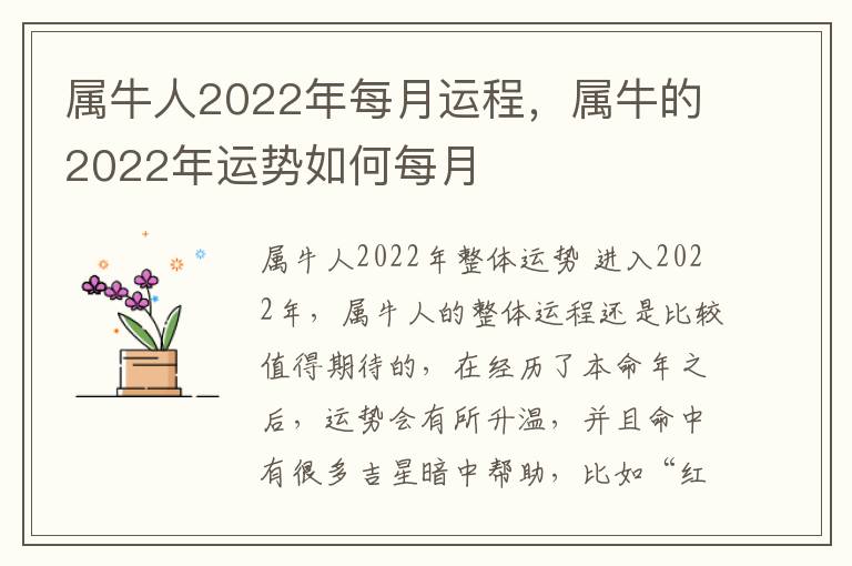 属牛人2022年每月运程，属牛的2022年运势如何每月