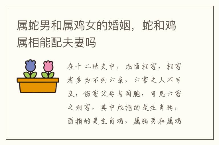 属蛇男和属鸡女的婚姻，蛇和鸡属相能配夫妻吗