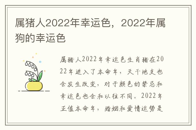 属猪人2022年幸运色，2022年属狗的幸运色