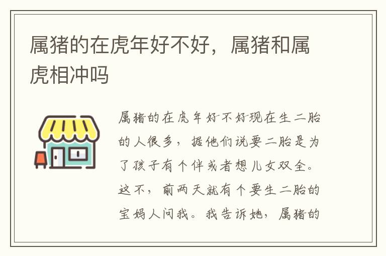 属猪的在虎年好不好，属猪和属虎相冲吗