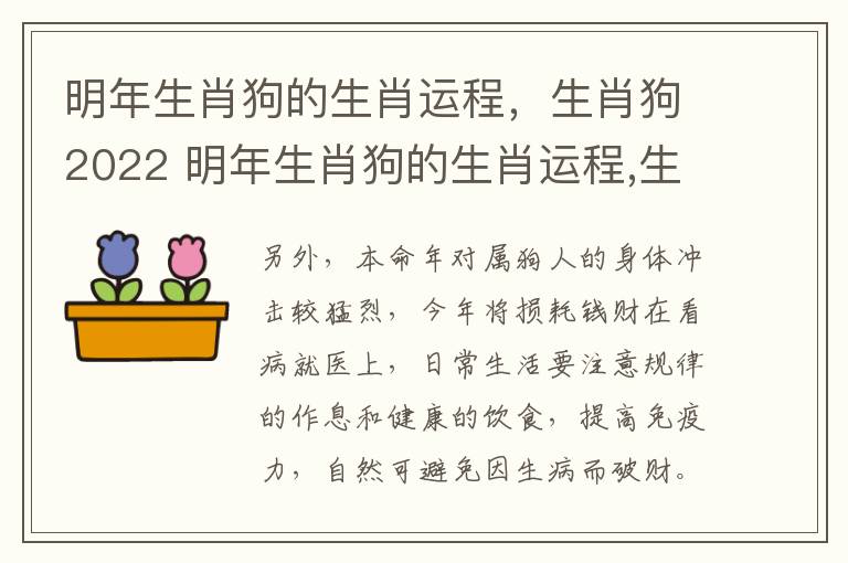 明年生肖狗的生肖运程，生肖狗2022 明年生肖狗的生肖运程,生肖狗2022年运势