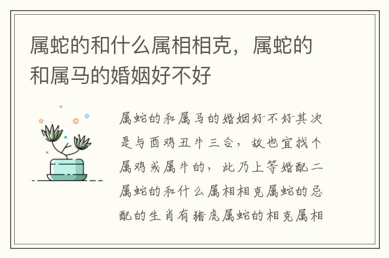 属蛇的和什么属相相克，属蛇的和属马的婚姻好不好