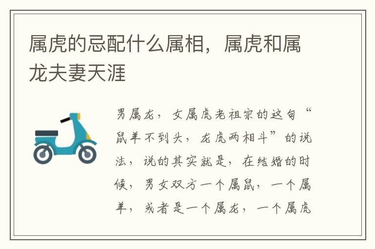 属虎的忌配什么属相，属虎和属龙夫妻天涯