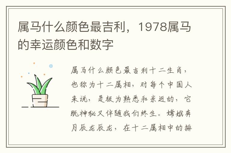 属马什么颜色最吉利，1978属马的幸运颜色和数字