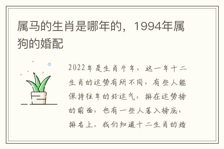 属马的生肖是哪年的，1994年属狗的婚配