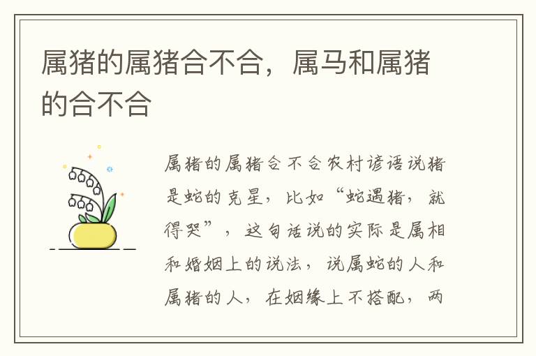 属猪的属猪合不合，属马和属猪的合不合