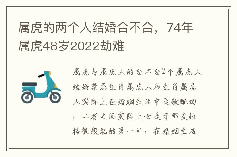 属虎的两个人结婚合不合，74年属虎48岁2022劫难