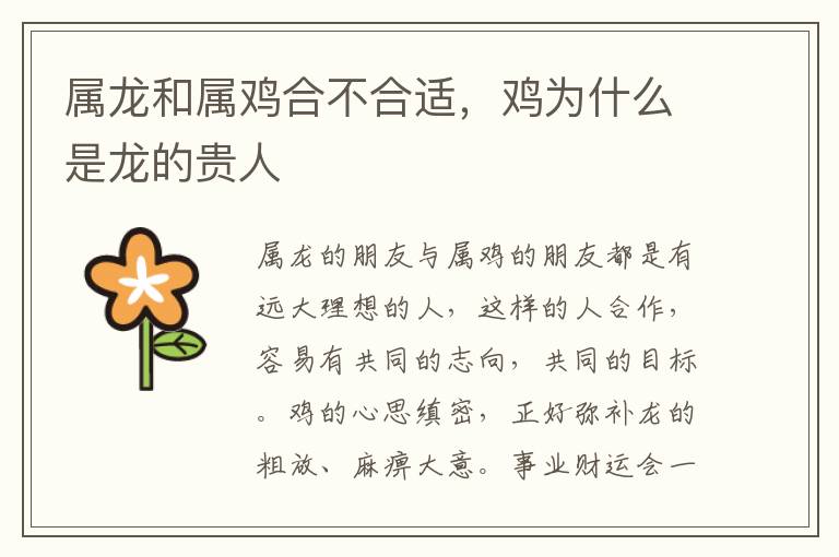 属龙和属鸡合不合适，鸡为什么是龙的贵人