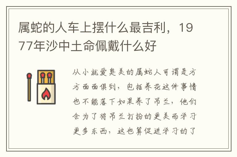 属蛇的人车上摆什么最吉利，1977年沙中土命佩戴什么好
