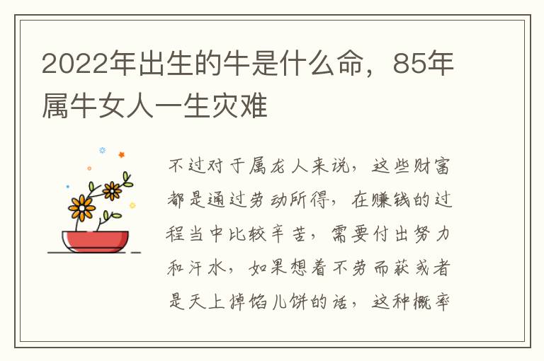 2022年出生的牛是什么命，85年属牛女人一生灾难