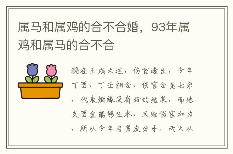 属马和属鸡的合不合婚，93年属鸡和属马的合不合