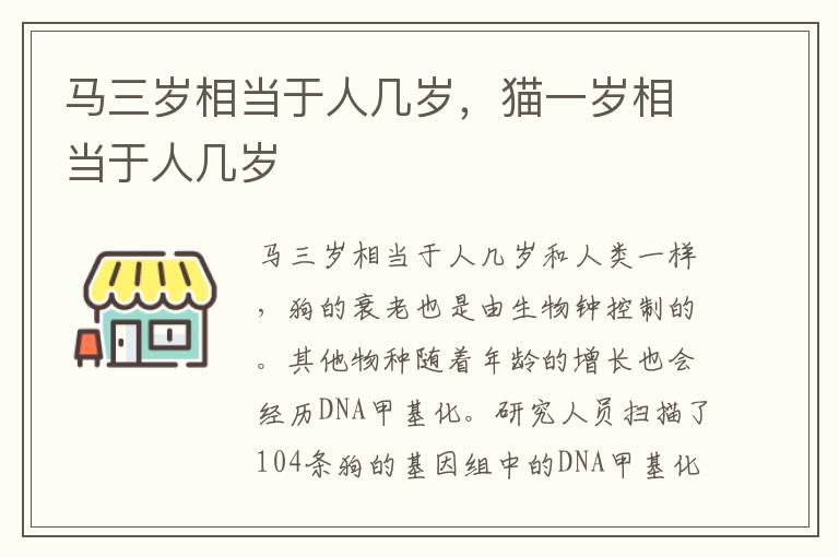 马三岁相当于人几岁，猫一岁相当于人几岁
