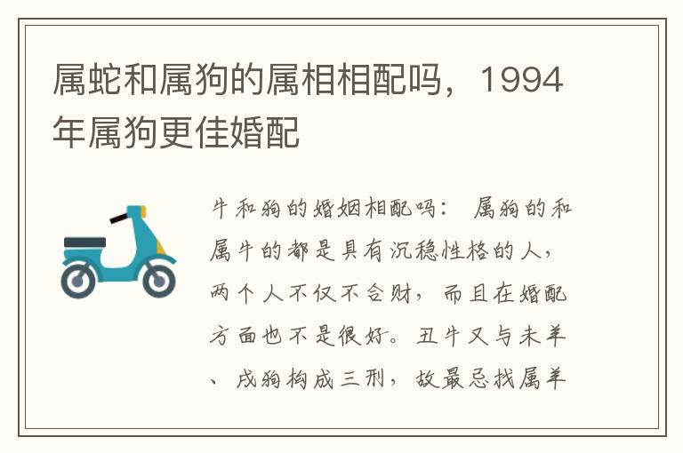 属蛇和属狗的属相相配吗，1994年属狗更佳婚配