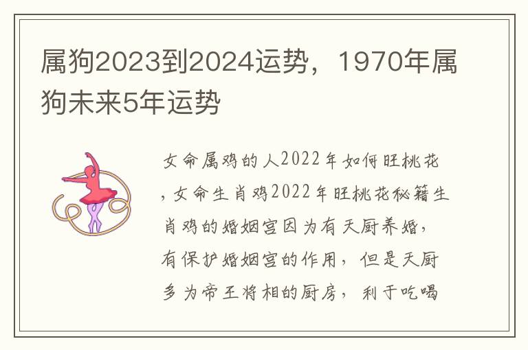 属狗2023到2024运势，1970年属狗未来5年运势