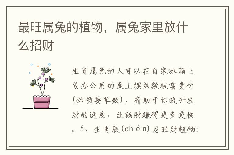 最旺属兔的植物，属兔家里放什么招财