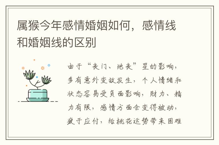 属猴今年感情婚姻如何，感情线和婚姻线的区别
