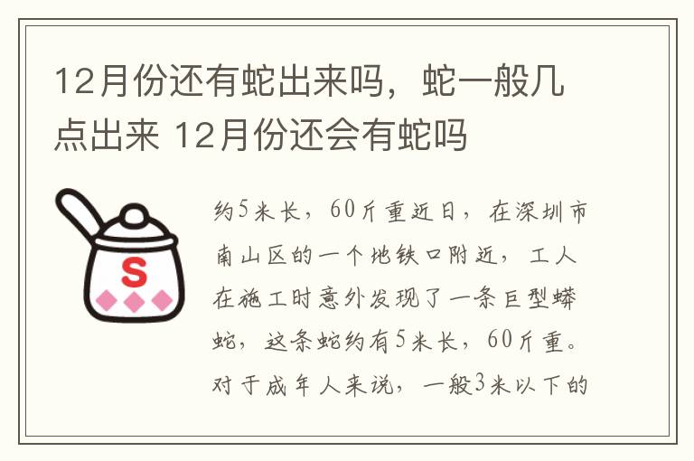 12月份还有蛇出来吗，蛇一般几点出来 12月份还会有蛇吗