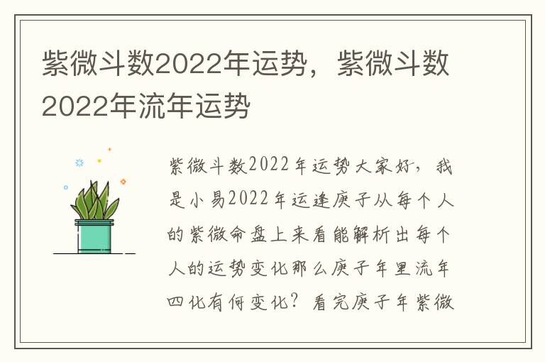 紫微斗数2022年运势，紫微斗数2022年流年运势