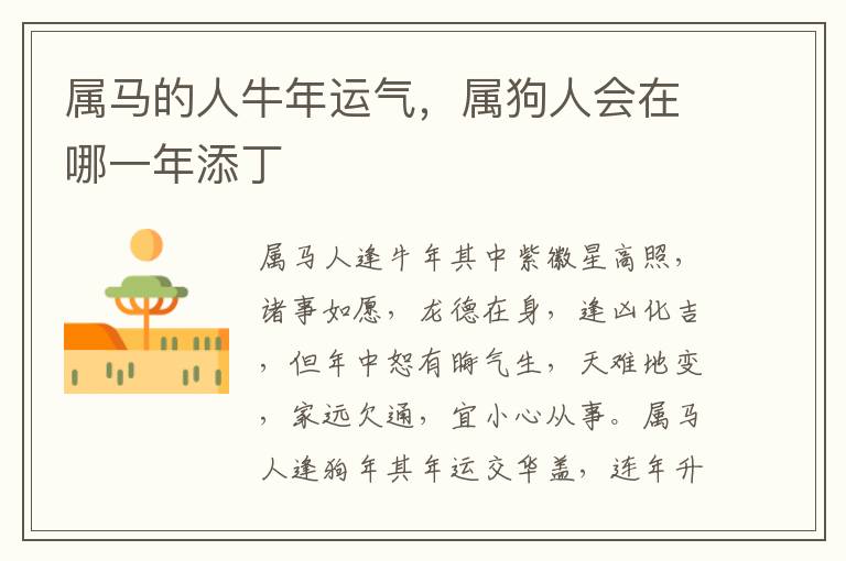 属马的人牛年运气，属狗人会在哪一年添丁