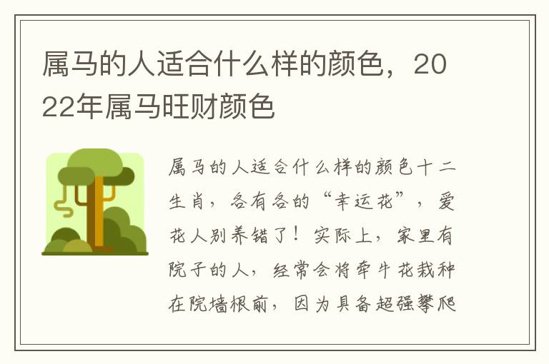 属马的人适合什么样的颜色，2022年属马旺财颜色