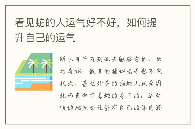 看见蛇的人运气好不好，如何提升自己的运气
