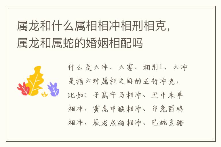 属龙和什么属相相冲相刑相克，属龙和属蛇的婚姻相配吗
