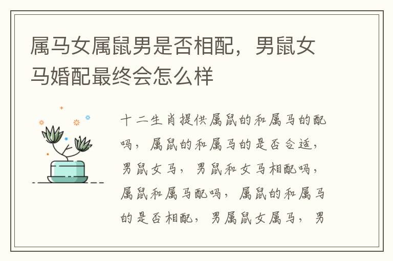 属马女属鼠男是否相配，男鼠女马婚配最终会怎么样