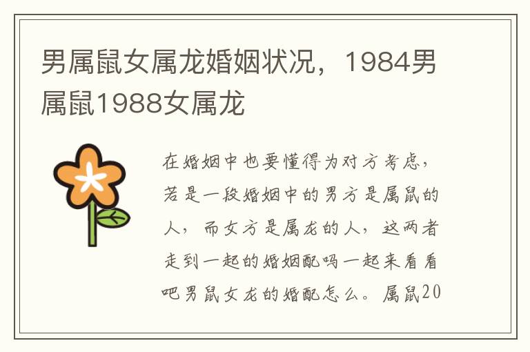 男属鼠女属龙婚姻状况，1984男属鼠1988女属龙
