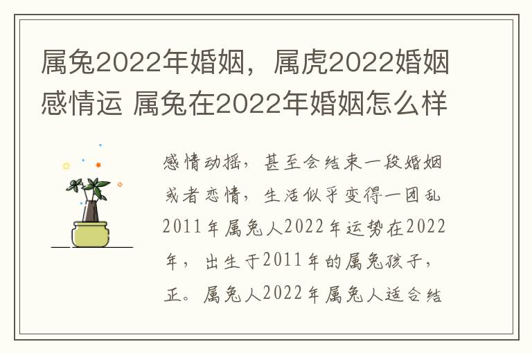 属兔2022年婚姻，属虎2022婚姻感情运 属兔在2022年婚姻怎么样