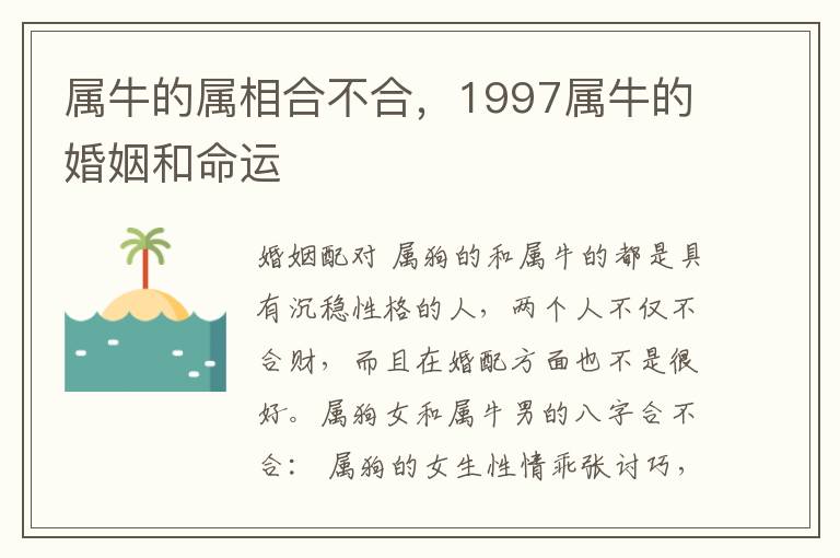 属牛的属相合不合，1997属牛的婚姻和命运