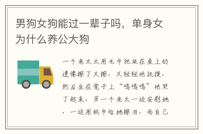男狗女狗能过一辈子吗，单身女为什么养公大狗