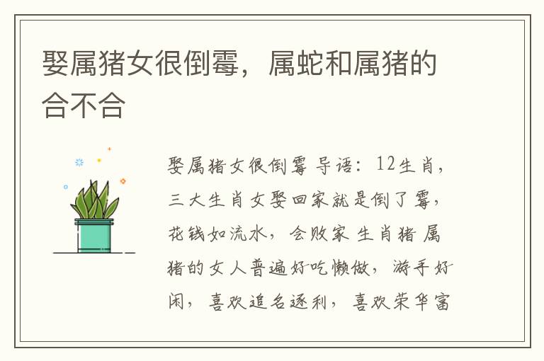 娶属猪女很倒霉，属蛇和属猪的合不合