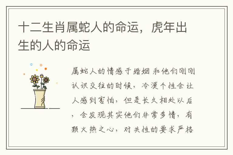 十二生肖属蛇人的命运，虎年出生的人的命运