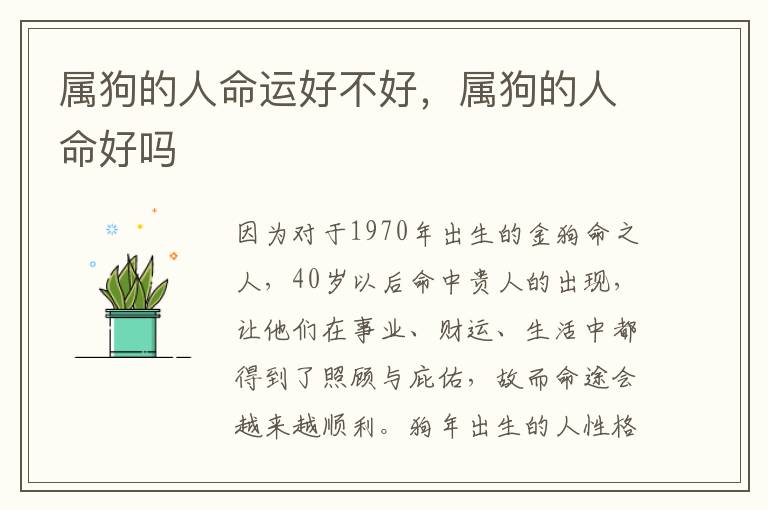属狗的人命运好不好，属狗的人命好吗