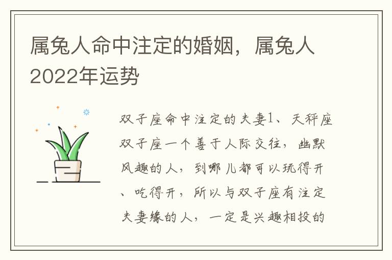 属兔人命中注定的婚姻，属兔人2022年运势