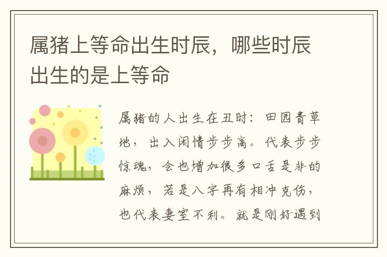 属猪上等命出生时辰，哪些时辰出生的是上等命