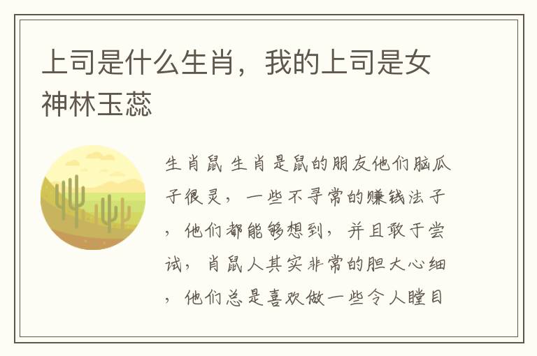 上司是什么生肖，我的上司是女神林玉蕊