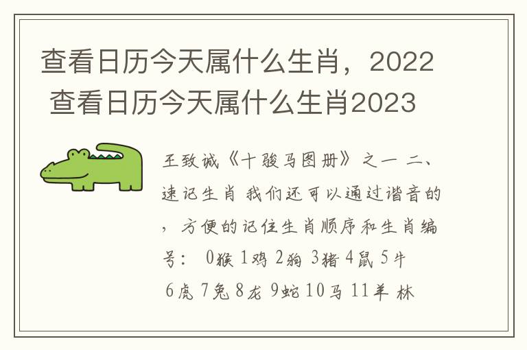 查看日历今天属什么生肖，2022 查看日历今天属什么生肖2023