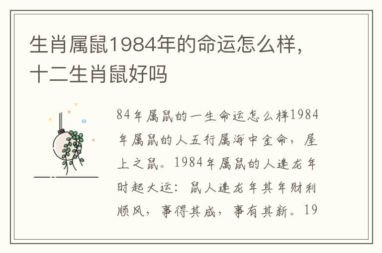 生肖属鼠1984年的命运怎么样，十二生肖鼠好吗