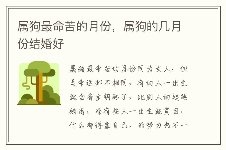 属狗最命苦的月份，属狗的几月份结婚好