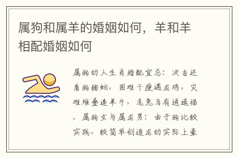 属狗和属羊的婚姻如何，羊和羊相配婚姻如何