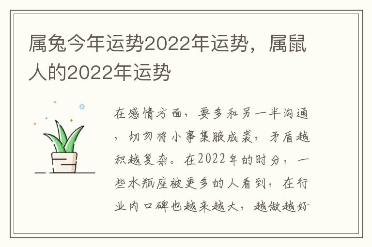 属兔今年运势2022年运势，属鼠人的2022年运势