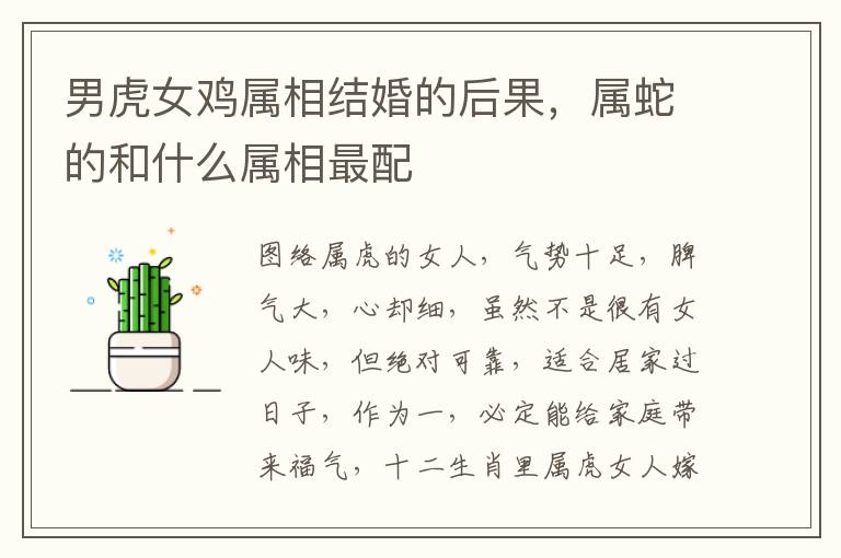 男虎女鸡属相结婚的后果，属蛇的和什么属相最配