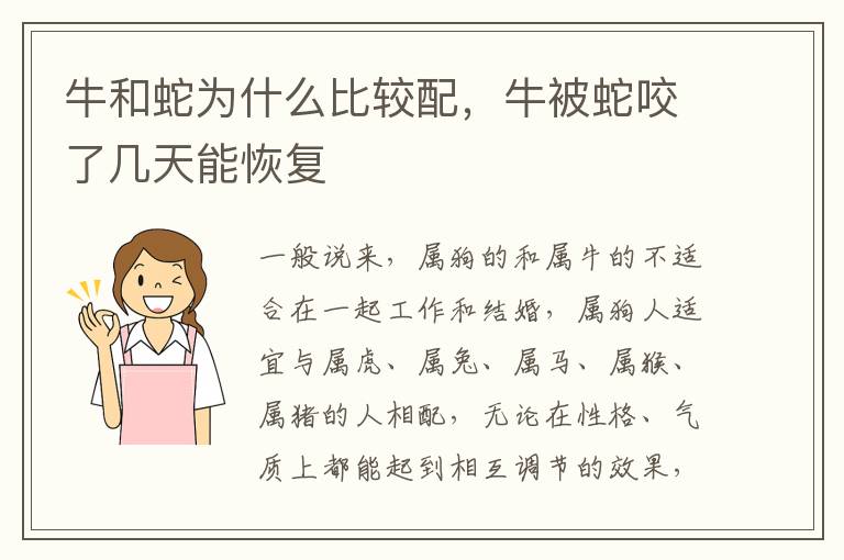 牛和蛇为什么比较配，牛被蛇咬了几天能恢复