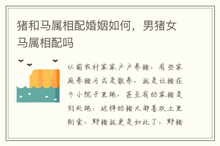 猪和马属相配婚姻如何，男猪女马属相配吗