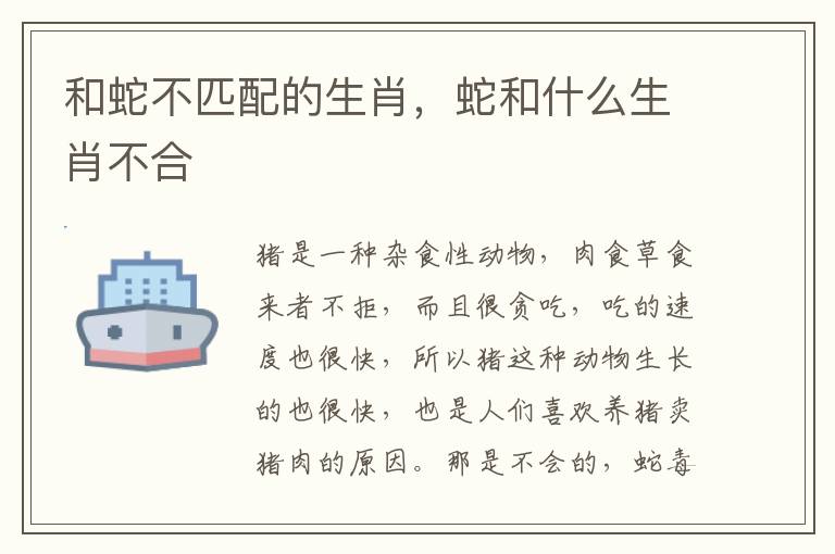 和蛇不匹配的生肖，蛇和什么生肖不合