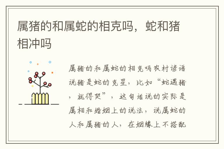 属猪的和属蛇的相克吗，蛇和猪相冲吗